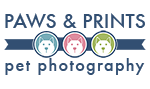 Paws & Prints Pet Photography – Modern Pet Portrait Photography Naples Florida Logo